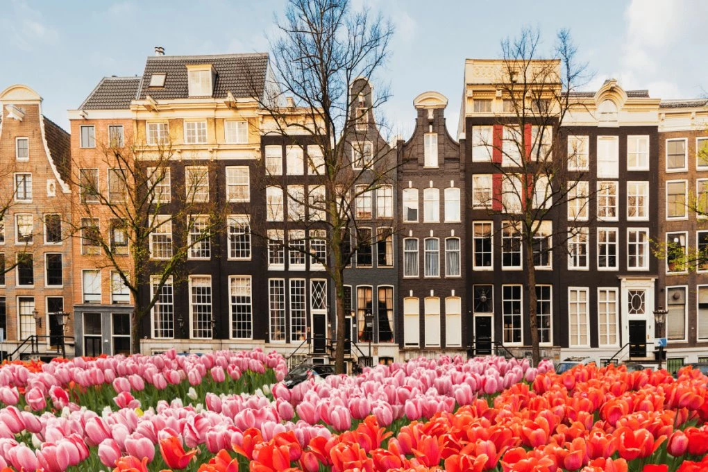 tudo-sobre-a-holanda